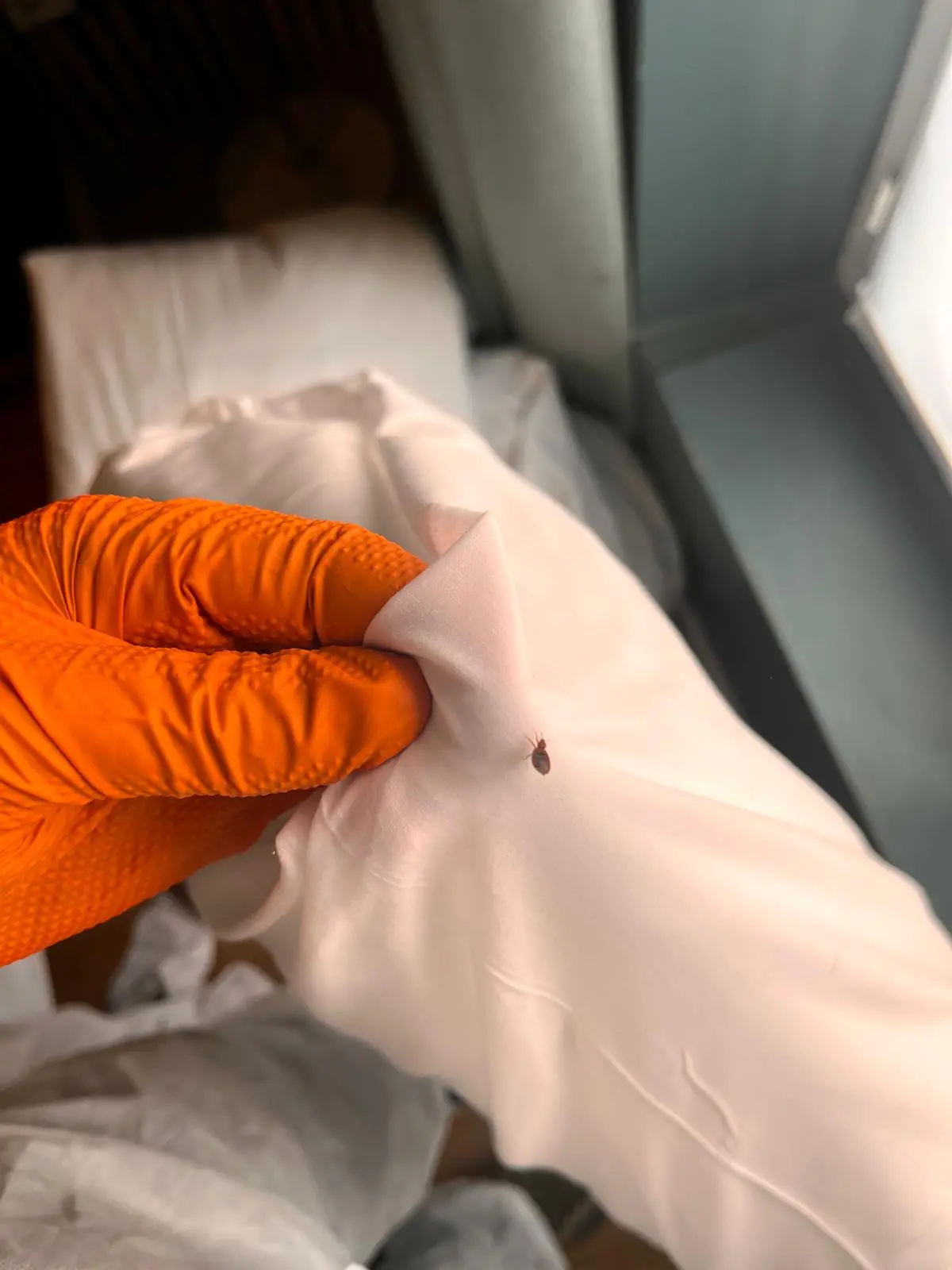 Inspection dans une chambre d’hôtel dans le 14eme arrondissement de Paris Après
